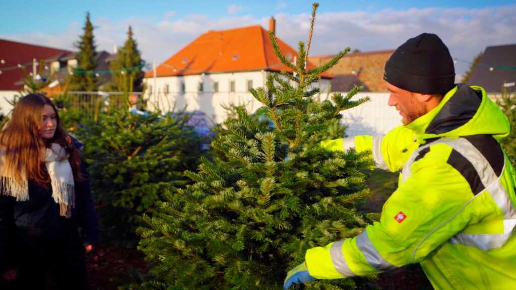 odenwaldtannen bechtold weihnachtsbaum Header